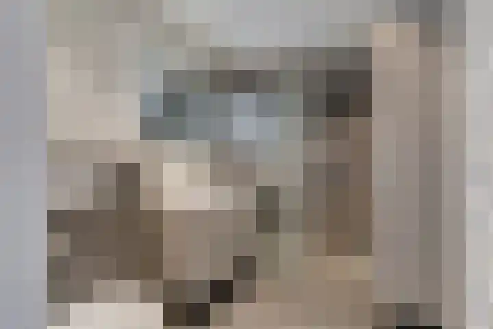 Ruijgenhoeksepolder 14 De Meern thumbnail 25