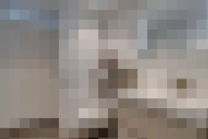 Ruijgenhoeksepolder 14 De Meern thumbnail 27