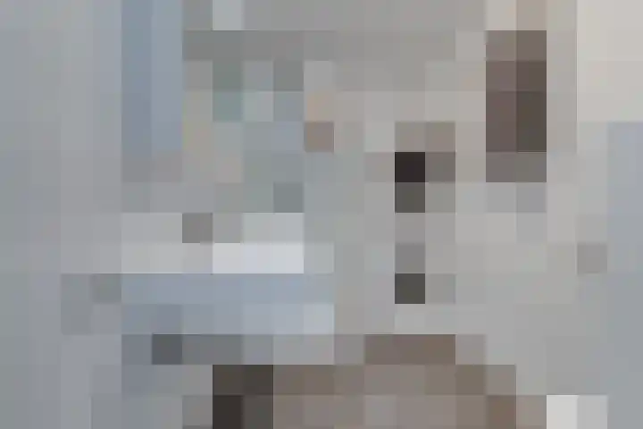 Ruijgenhoeksepolder 14 De Meern thumbnail 35