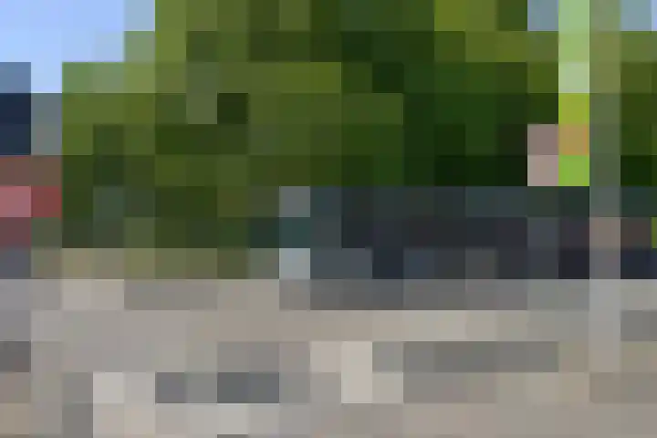 Ruijgenhoeksepolder 14 De Meern thumbnail 42