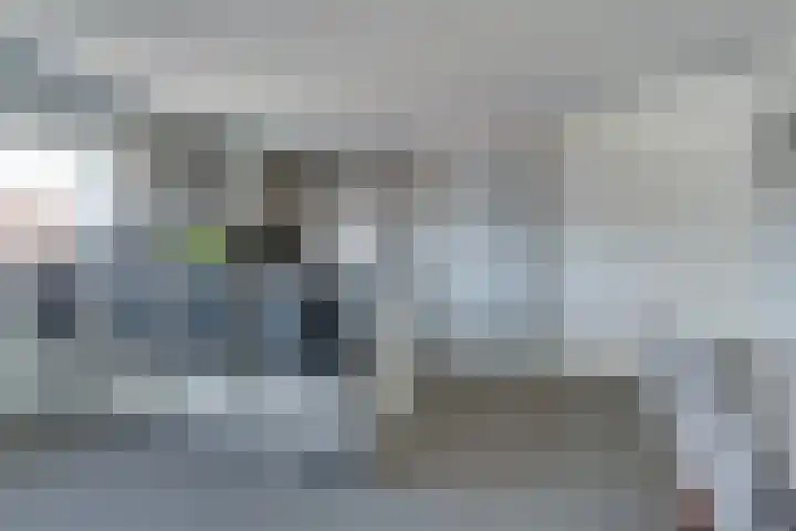 Ruijgenhoeksepolder 14 De Meern thumbnail 5