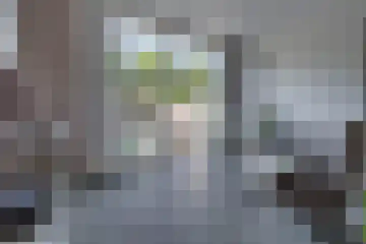 Ruijgenhoeksepolder 14 De Meern thumbnail 6