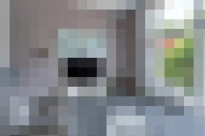 Ruijgenhoeksepolder 14 De Meern thumbnail 8