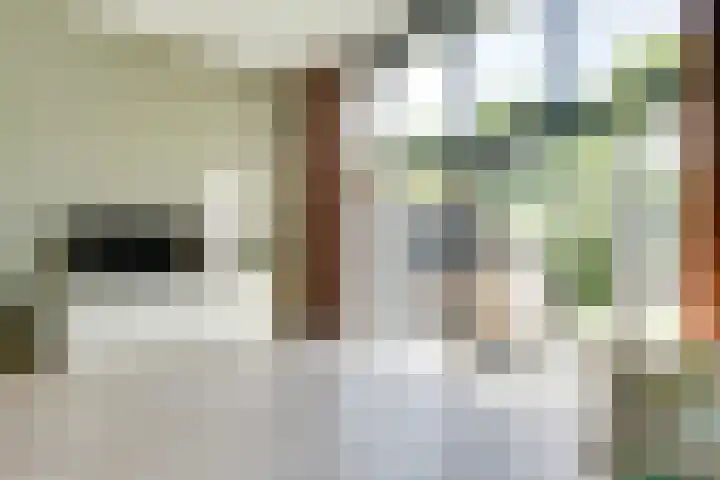 Ruijgenhoeksepolder 16 De Meern thumbnail 10