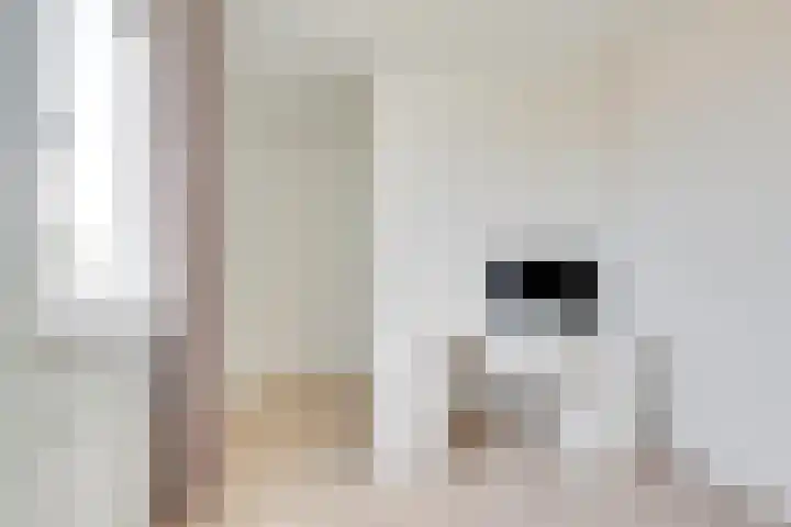 Ruijgenhoeksepolder 16 De Meern thumbnail 30