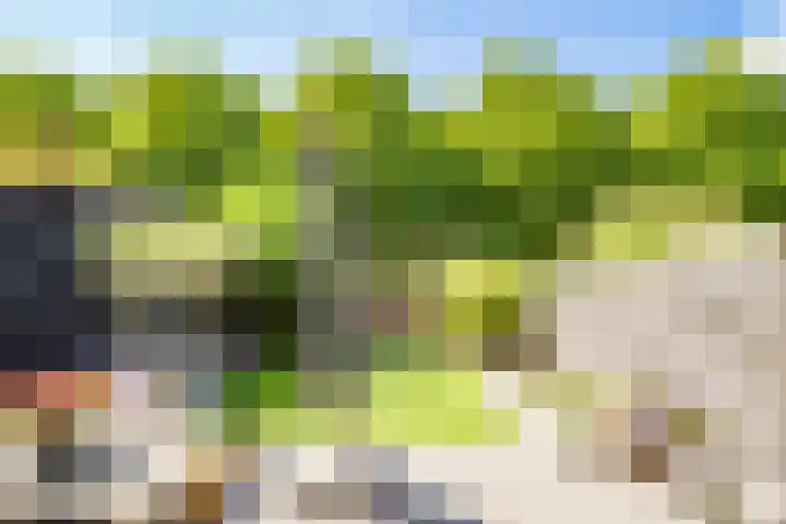 Ruijgenhoeksepolder 16 De Meern thumbnail 38