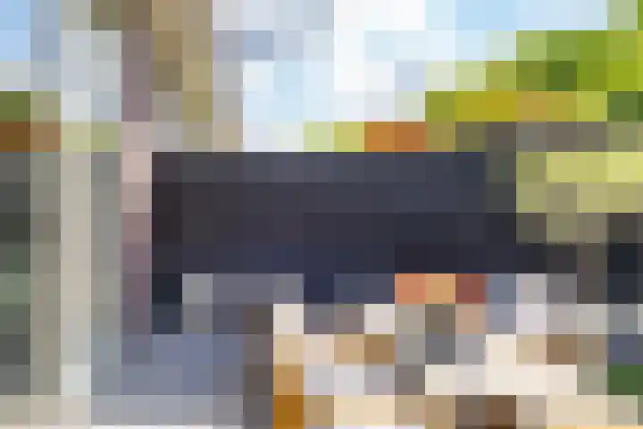 Ruijgenhoeksepolder 16 De Meern thumbnail 39