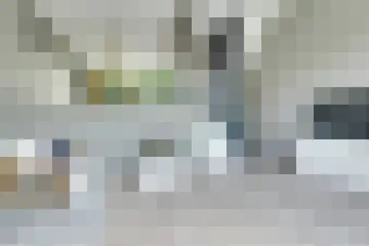 Ruijgenhoeksepolder 16 De Meern thumbnail 4
