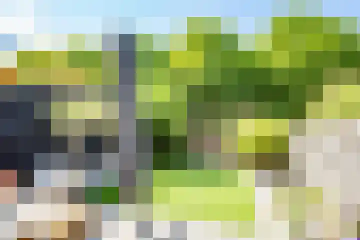 Ruijgenhoeksepolder 16 De Meern thumbnail 40