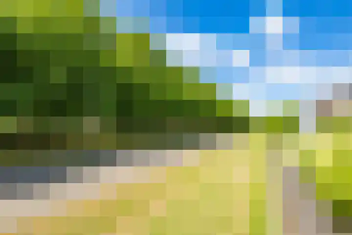 Ruijgenhoeksepolder 16 De Meern thumbnail 41