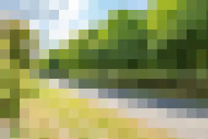 Ruijgenhoeksepolder 16 De Meern thumbnail 42