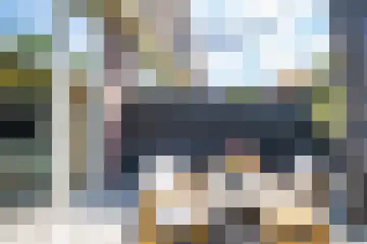 Ruijgenhoeksepolder 16 De Meern thumbnail 44