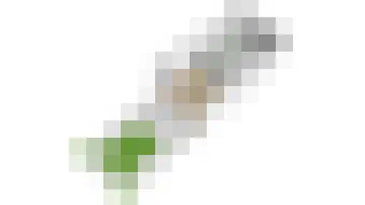 Ruijgenhoeksepolder 16 De Meern thumbnail 53