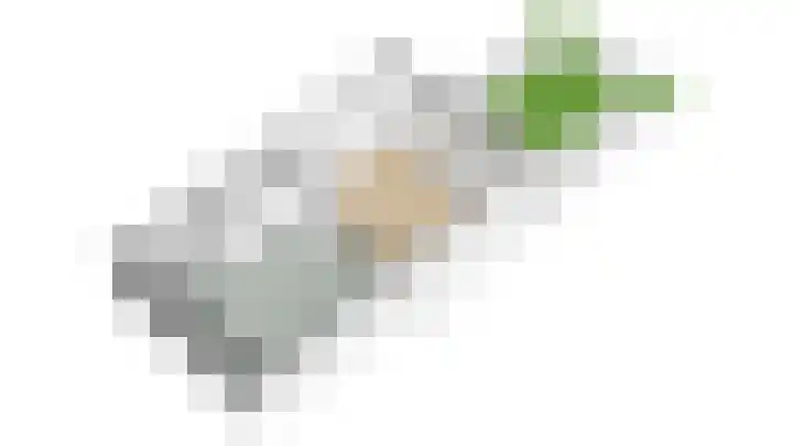 Ruijgenhoeksepolder 16 De Meern thumbnail 54