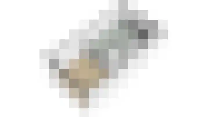Ruijgenhoeksepolder 16 De Meern thumbnail 60