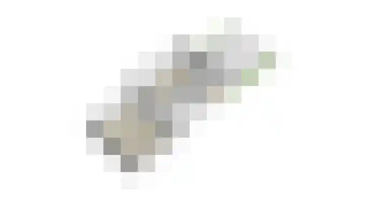 Ruijgenhoeksepolder 16 De Meern thumbnail 62