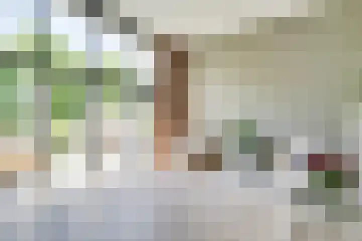 Ruijgenhoeksepolder 16 De Meern thumbnail 8