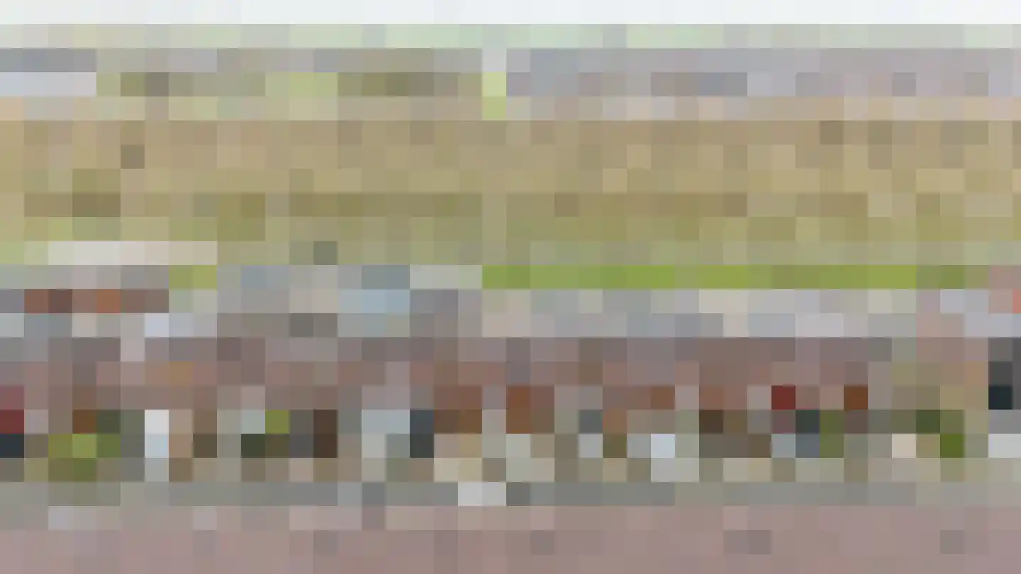 Ruijgenhoeksepolder 18 De Meern thumbnail 53