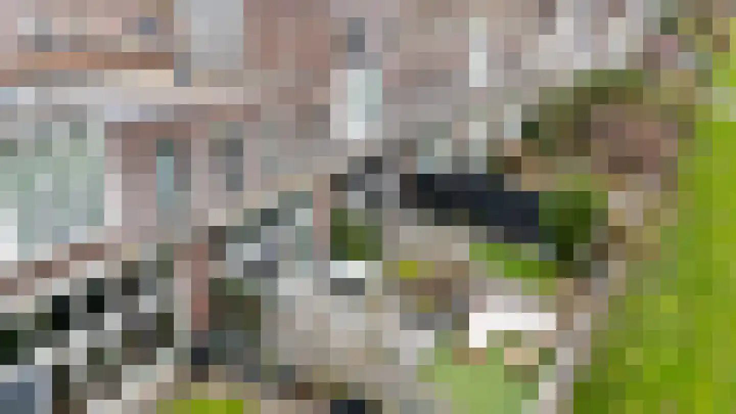 Ruijgenhoeksepolder 18 De Meern thumbnail 55