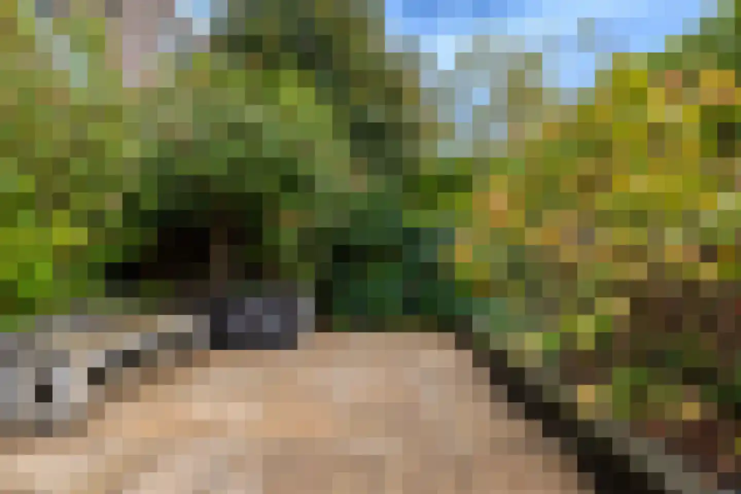 Ruijgenhoeksepolder 56 De Meern thumbnail 12