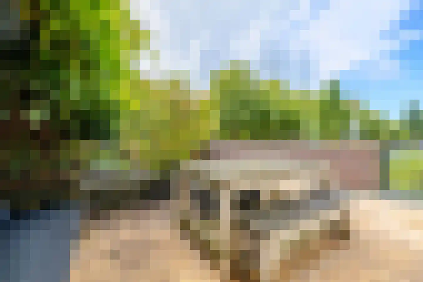 Ruijgenhoeksepolder 56 De Meern thumbnail 13