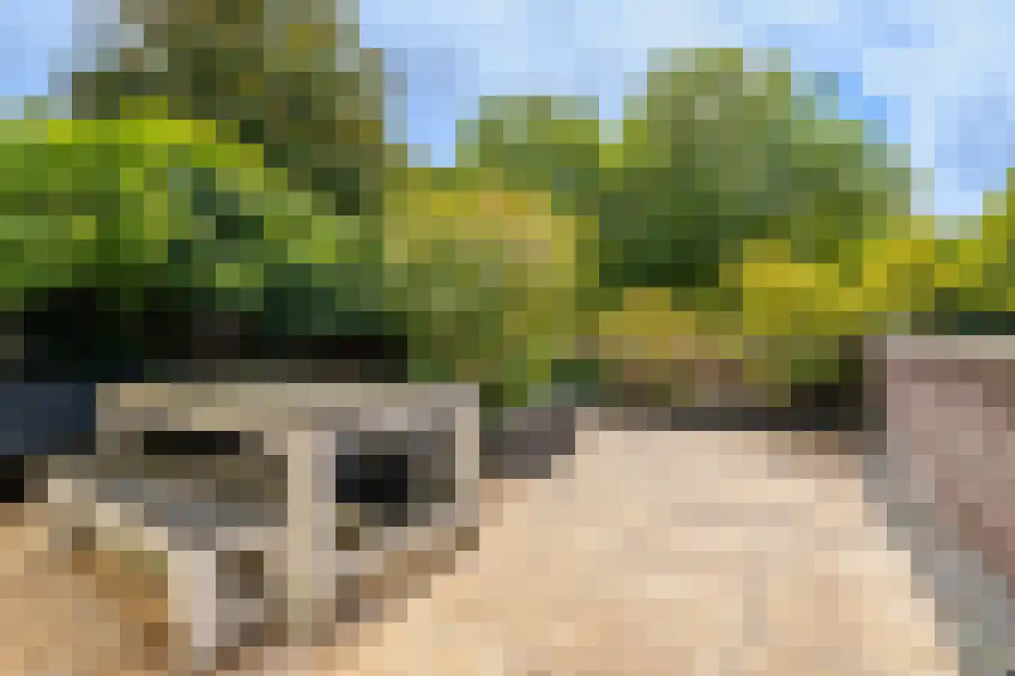Ruijgenhoeksepolder 56 De Meern thumbnail 14