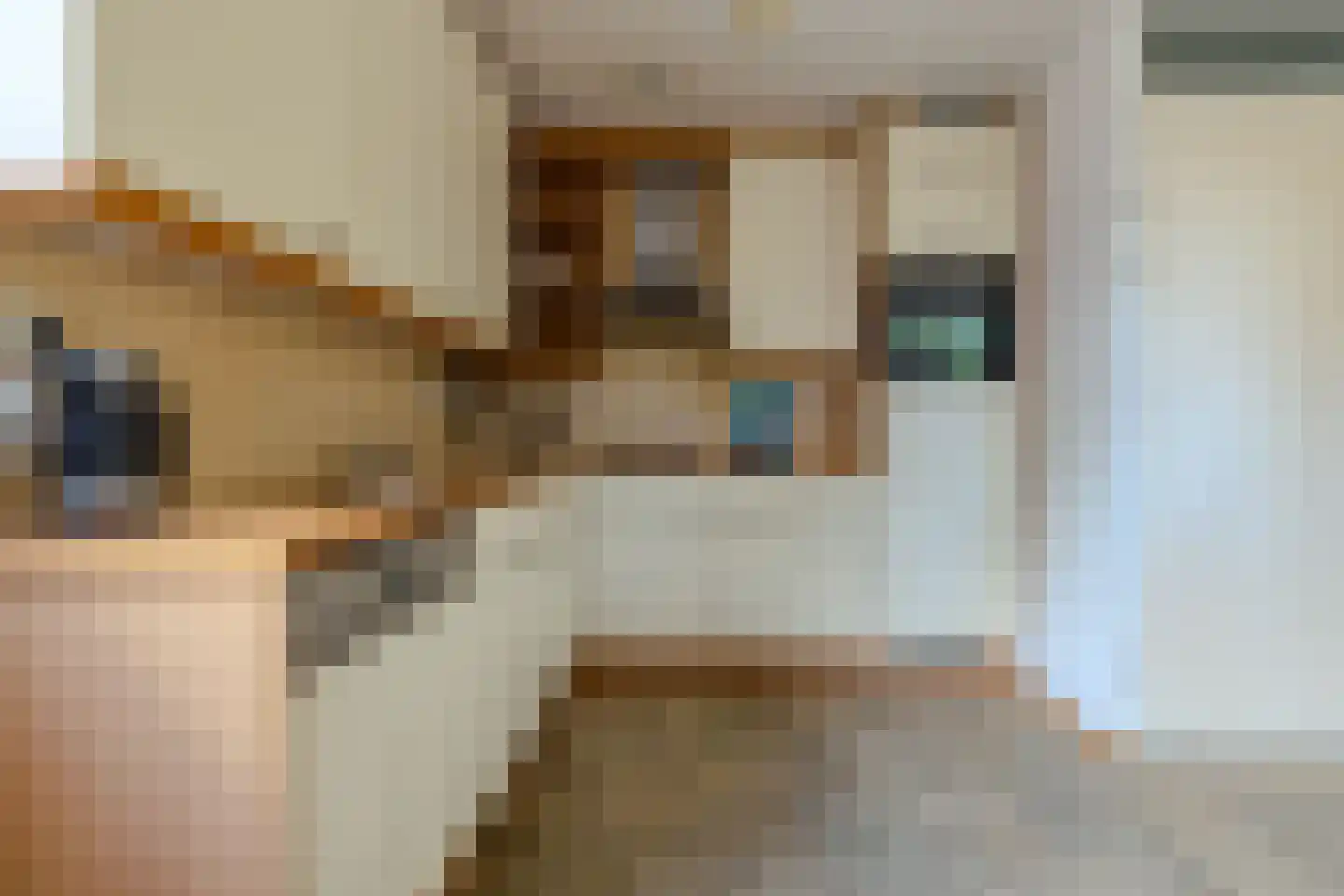Ruijgenhoeksepolder 56 De Meern thumbnail 22