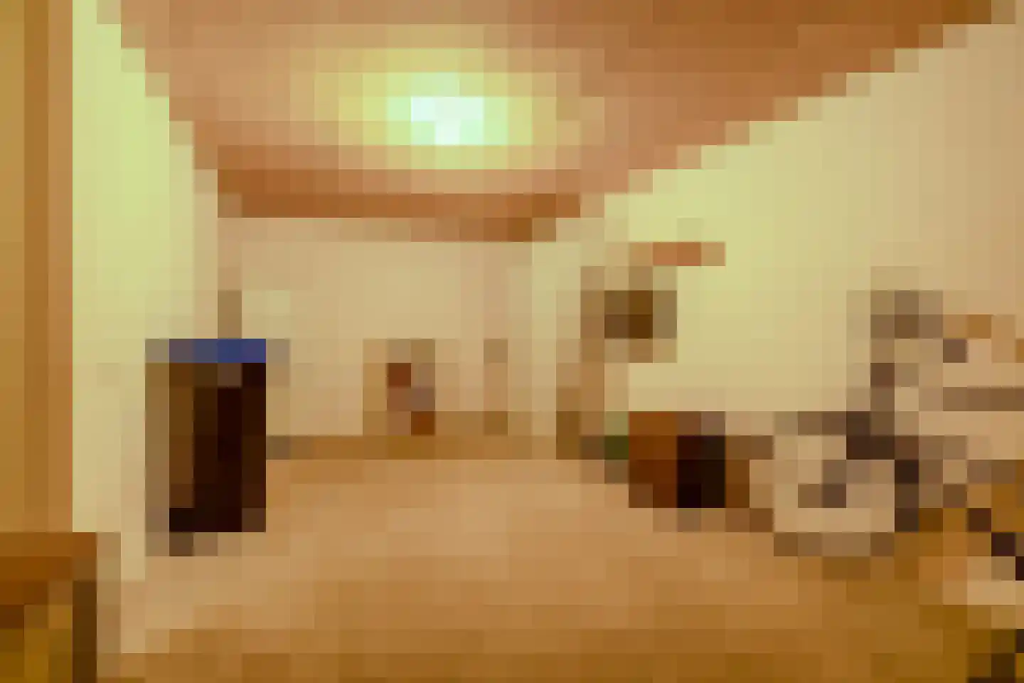 Ruijgenhoeksepolder 56 De Meern thumbnail 55