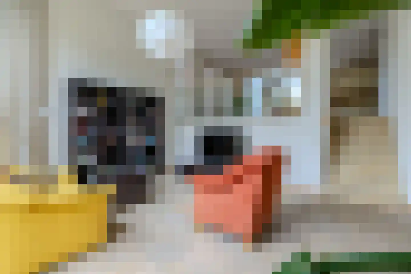 Ruijgenhoeksepolder 56 De Meern thumbnail 8