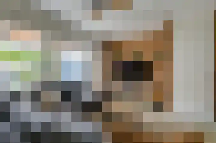 Ruijgenpad 12 Zevenaar thumbnail 10