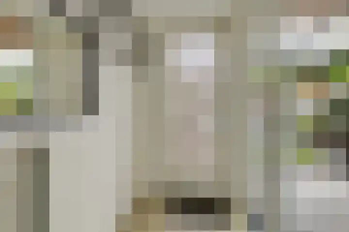 Ruijgenpad 12 Zevenaar thumbnail 16