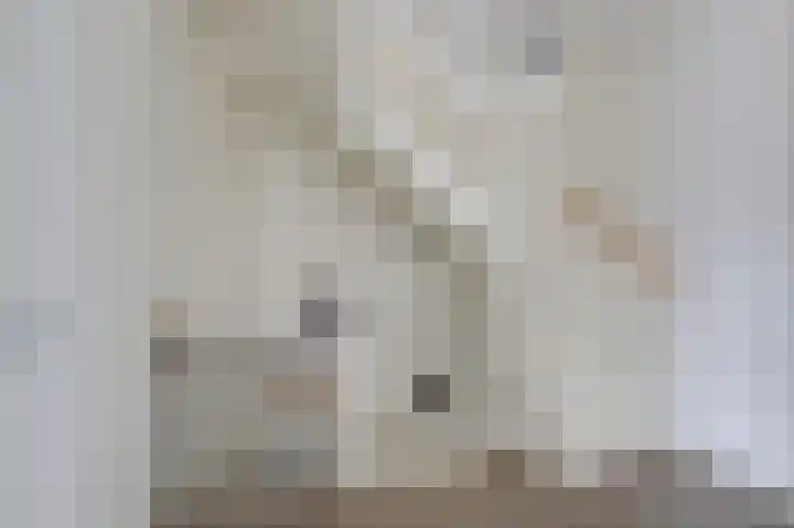 Ruijgenpad 12 Zevenaar thumbnail 17