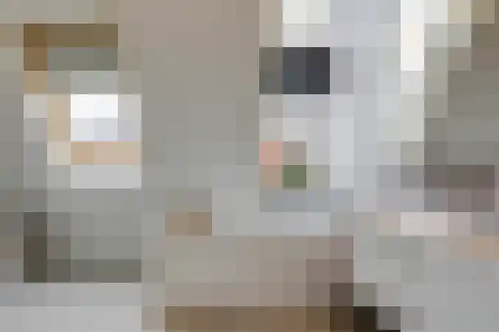 Ruijgenpad 12 Zevenaar thumbnail 23