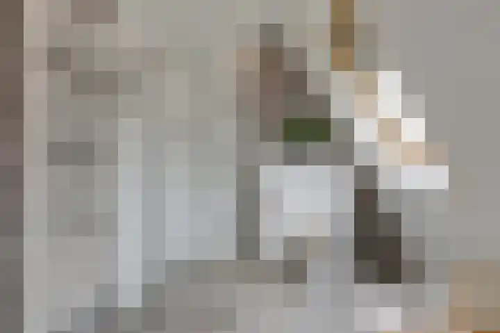 Ruijgenpad 12 Zevenaar thumbnail 25