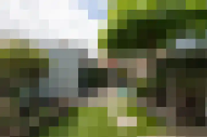 Ruijgenpad 12 Zevenaar thumbnail 31