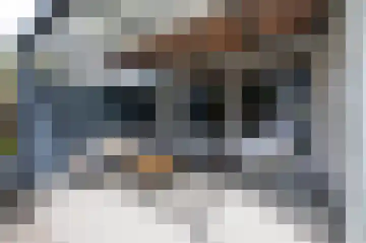 Ruijgenpad 12 Zevenaar thumbnail 32