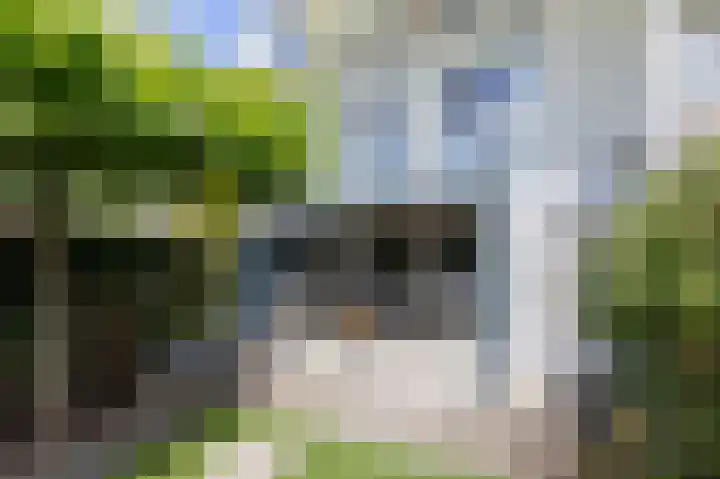 Ruijgenpad 12 Zevenaar thumbnail 34