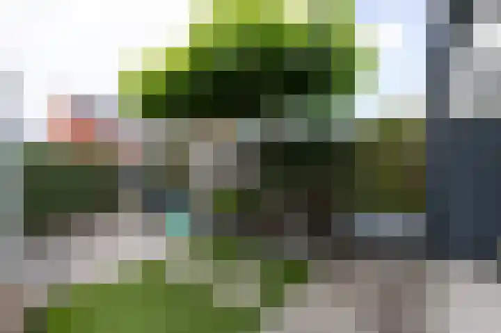 Ruijgenpad 12 Zevenaar thumbnail 35