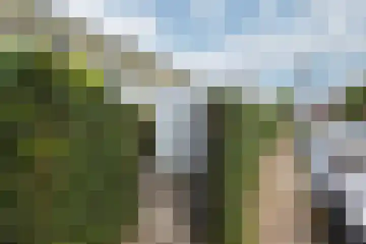 Ruijgenpad 12 Zevenaar thumbnail 37