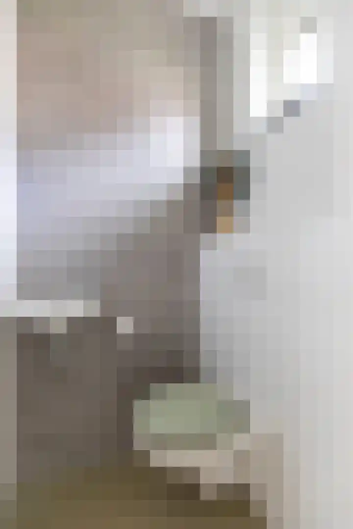 Ruijgenpad 12 Zevenaar thumbnail 8