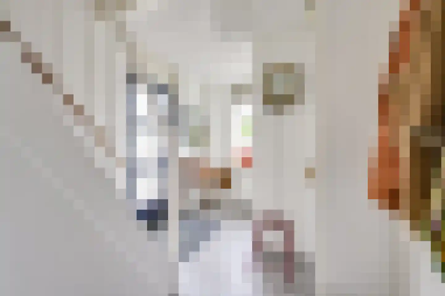 Ruijgrokplaats 5 Werkhoven thumbnail 20