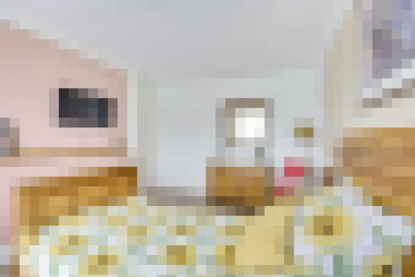 Ruijgrokplaats 5 Werkhoven thumbnail 24