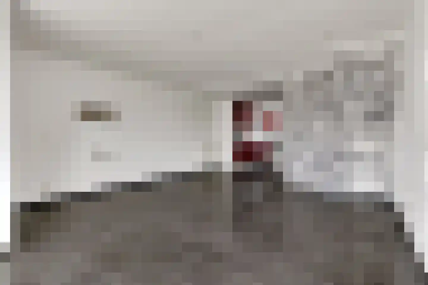 Ruijsdaellaan 7 Bergen op Zoom thumbnail 7