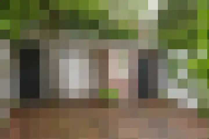 Ruijsdaelplein 27 Naarden thumbnail 22
