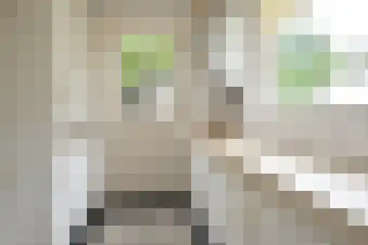 Ruijsdaelplein 27 Naarden thumbnail 8