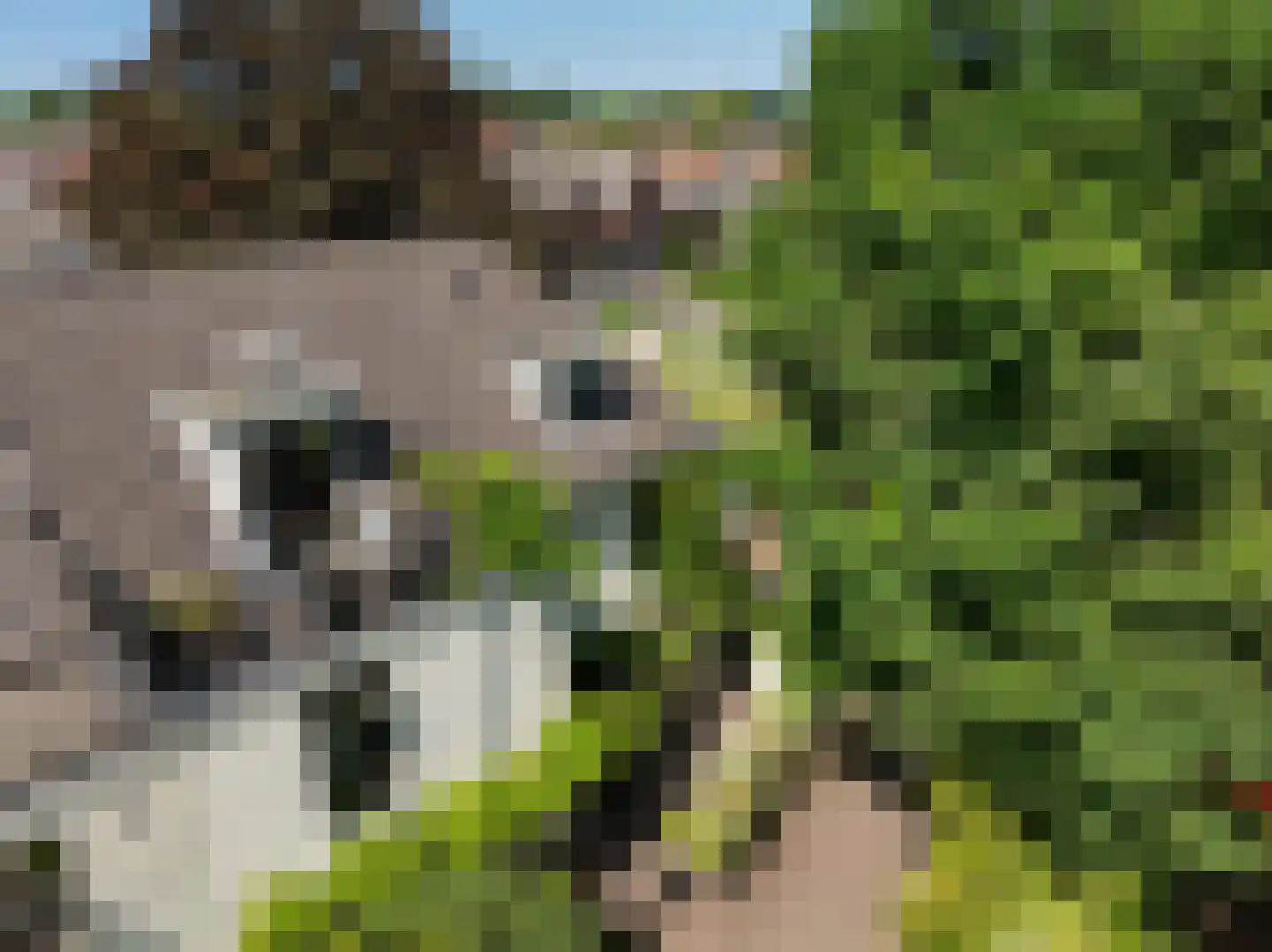 Ruijsdaelplein 4 Naarden thumbnail 56