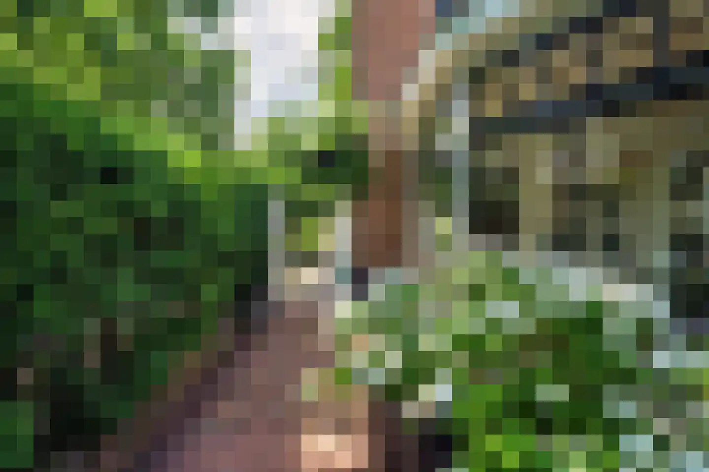 Ruijsdaelplein 4 Naarden thumbnail 57