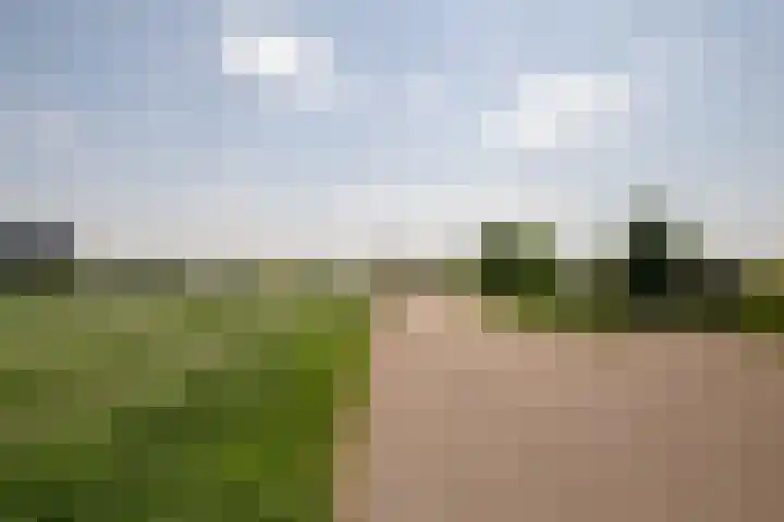 Ruijsdaelstraat 18 Millingen aan de Rijn thumbnail 39