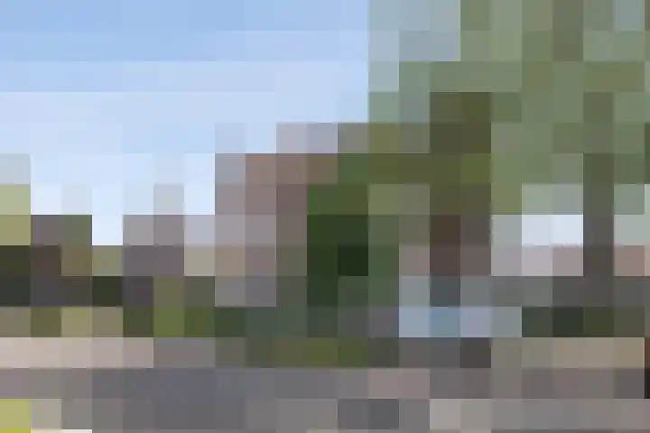 Ruijsdaelstraat 18 Millingen aan de Rijn thumbnail 42