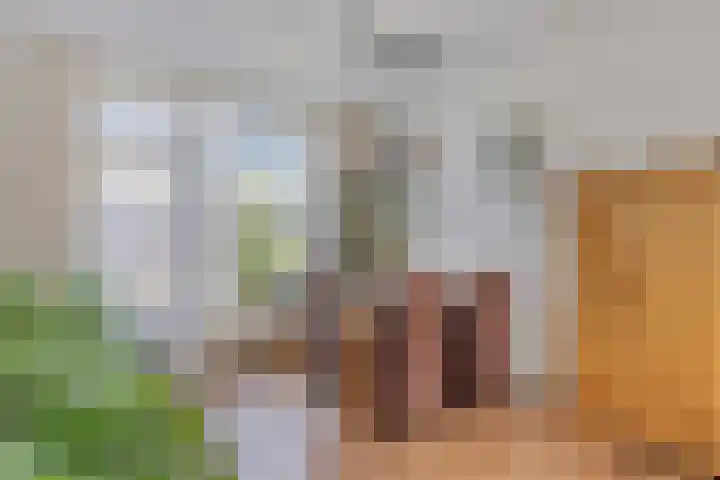 Ruijsdaelstraat 18 Millingen aan de Rijn thumbnail 8